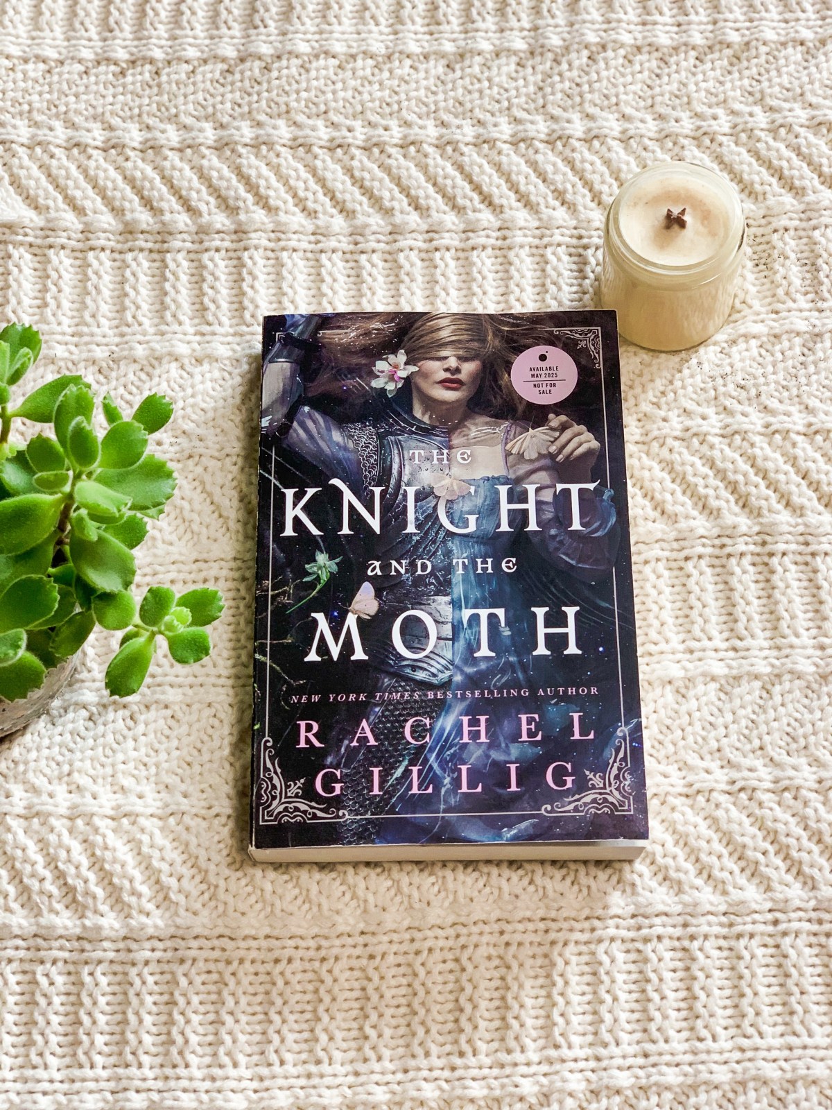 The Knight and the Moth by Rachel&nbsp;Gillig